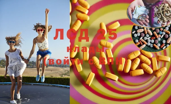 мяу мяу кристалл Покачи