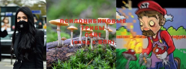 мяу мяу кристалл Покачи